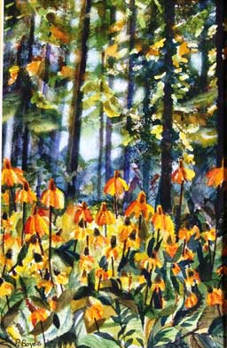 Flowers in the Forest